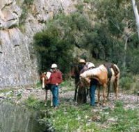 Yarramba Horse Riding - C Tourism