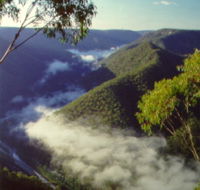 Long Point Lookout - C Tourism