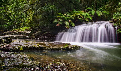 Rocky Crossing Walk - C Tourism 0