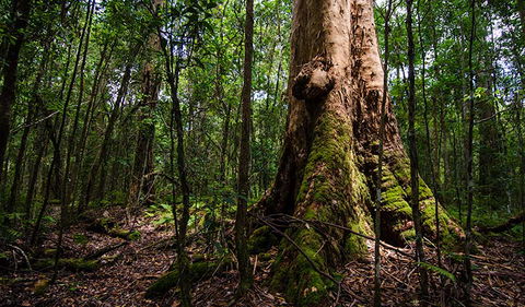 Rocky Crossing Walk - C Tourism 1