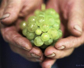 Keith Tulloch Wine - C Tourism 1
