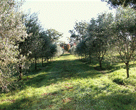 Langdale Farm - C Tourism