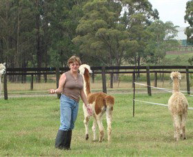 Langdale Farm - C Tourism 4