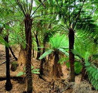 Pegarah Private Nature Reserve  Parenna Place - C Tourism