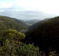 Nattai Gorge Lookout - C Tourism