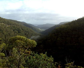 Nattai Gorge Lookout - C Tourism 0