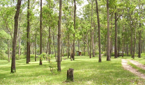 Nymboida National Park - C Tourism 2