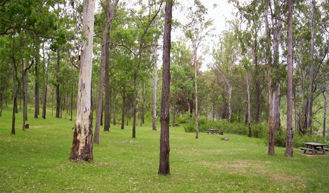 Nymboida National Park - C Tourism 3