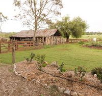 Camden Town Farm - C Tourism