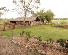 Camden Town Farm - C Tourism 0