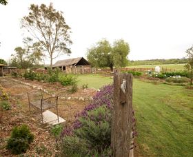 Camden Town Farm - C Tourism 1