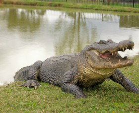 Hunter Valley Zoo - C Tourism 1