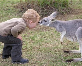 Hunter Valley Zoo - C Tourism 3
