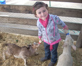 Hunter Valley Zoo - C Tourism 4