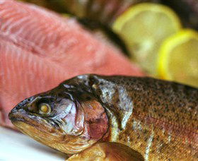 Lovedale Smokehouse Gourmet Pantry, Cafe And Masterclasses - C Tourism 0