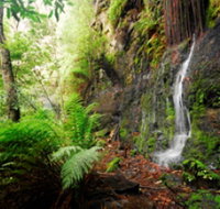 Fairy Bower Falls - C Tourism