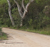 Riverview walking track - C Tourism