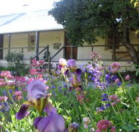 Raglan Gallery And Cultural Centre - C Tourism