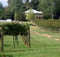 Camden Estate Wines - C Tourism