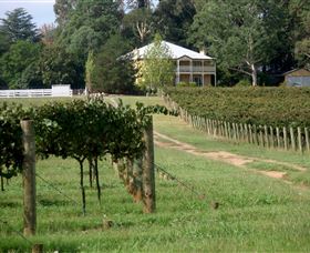 Camden Estate Wines - C Tourism 0