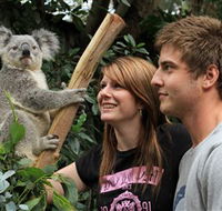 Featherdale Wildlife Park - C Tourism