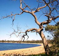 Lake Indoon - C Tourism