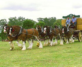 Belgenny Farm - C Tourism 2