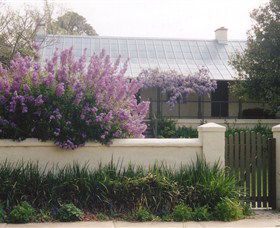 Lambie Town Walk - C Tourism 4