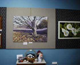 Monaro Art Groups Little Gallery - C Tourism 0