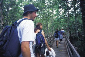 Neurum QLD C Tourism