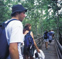 Bellthorpe National Park - C Tourism