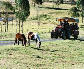 Calmsley Hill City Farm - C Tourism 0