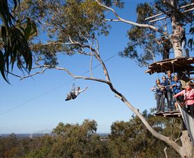 TreeTop Safari - C Tourism 0