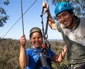 TreeTop Safari - C Tourism 1