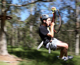 TreeTop Adventure Park Sydney - C Tourism 0
