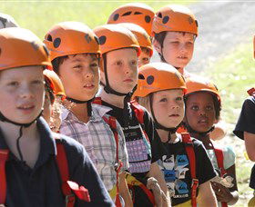 TreeTop Adventure Park Sydney - C Tourism 2
