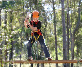 TreeTop Adventure Park Sydney - C Tourism 1