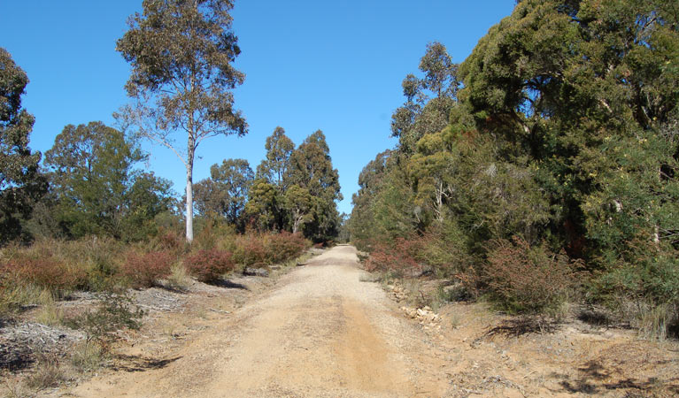 Elrington NSW C Tourism
