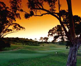 Macarthur Grange Country Club - C Tourism 0