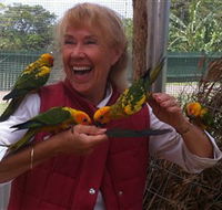 Maleny Botanic Gardens  Bird World - C Tourism