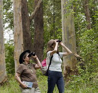 Chichester State Forest - C Tourism