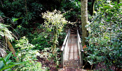 Richmond Range National Park - C Tourism 0