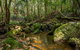 Palm Grove Nature Reserve - thumb 0
