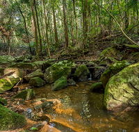 Palm Grove Nature Reserve - C Tourism