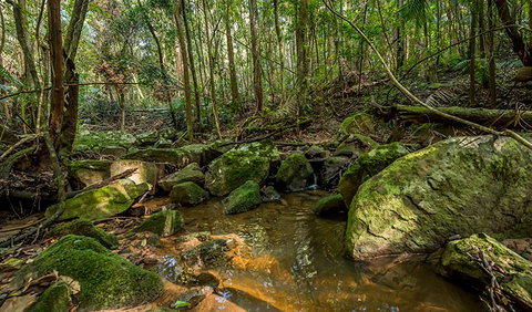 Palm Grove Nature Reserve - C Tourism 0