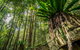 Palm Grove Nature Reserve - thumb 1