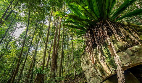 Palm Grove Nature Reserve - C Tourism 1