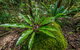 Palm Grove Nature Reserve - thumb 2