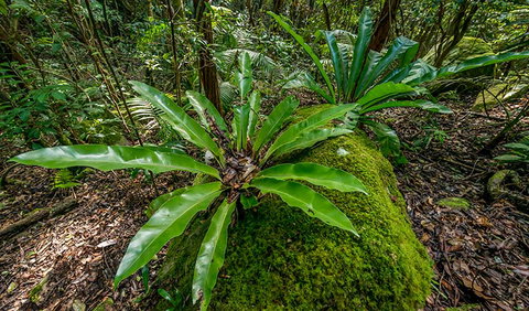 Palm Grove Nature Reserve - C Tourism 2