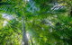 Palm Grove Nature Reserve - thumb 3